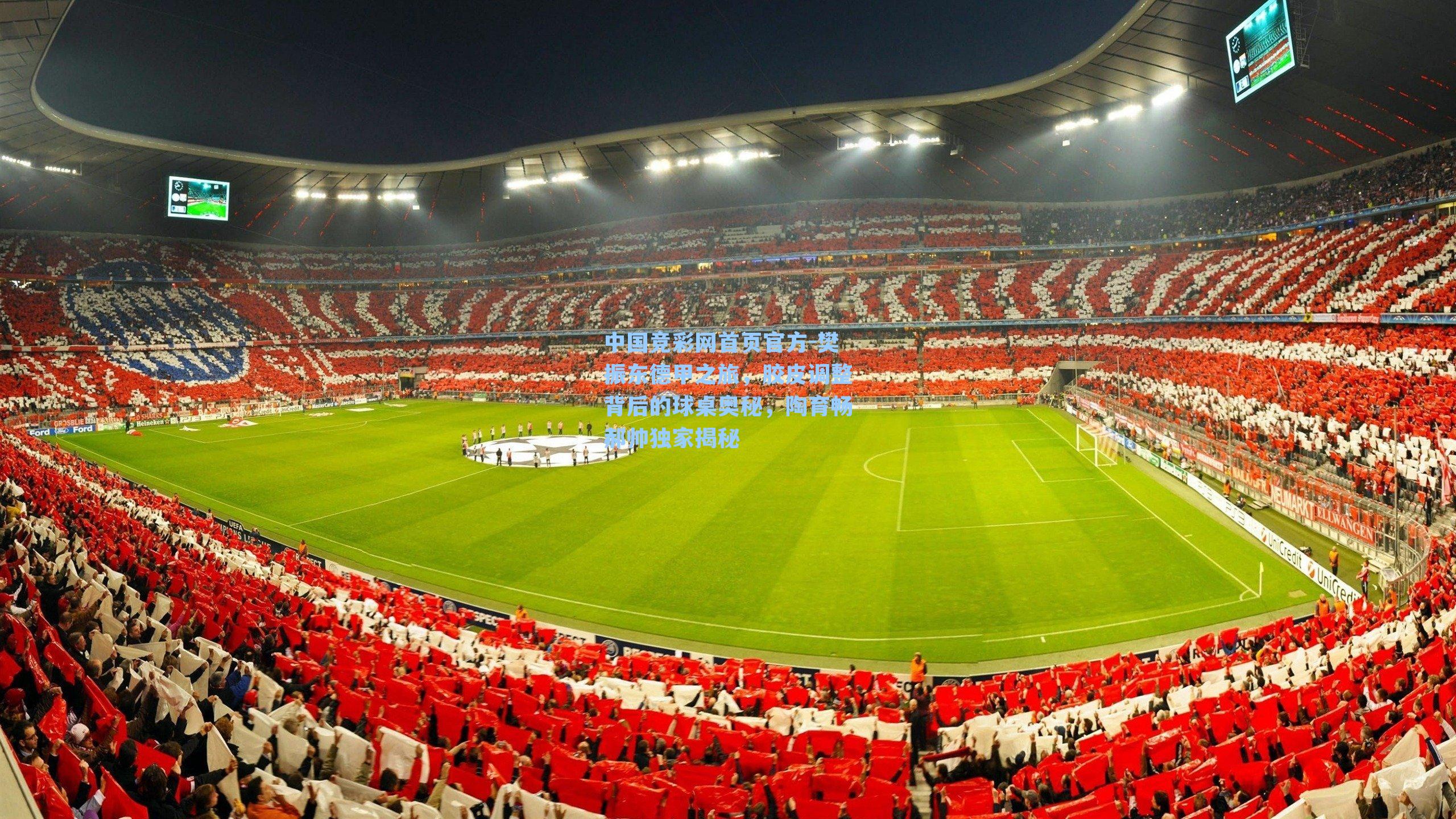 樊振东德甲之旅，胶皮调整背后的球桌奥秘，陶育畅郝帅独家揭秘