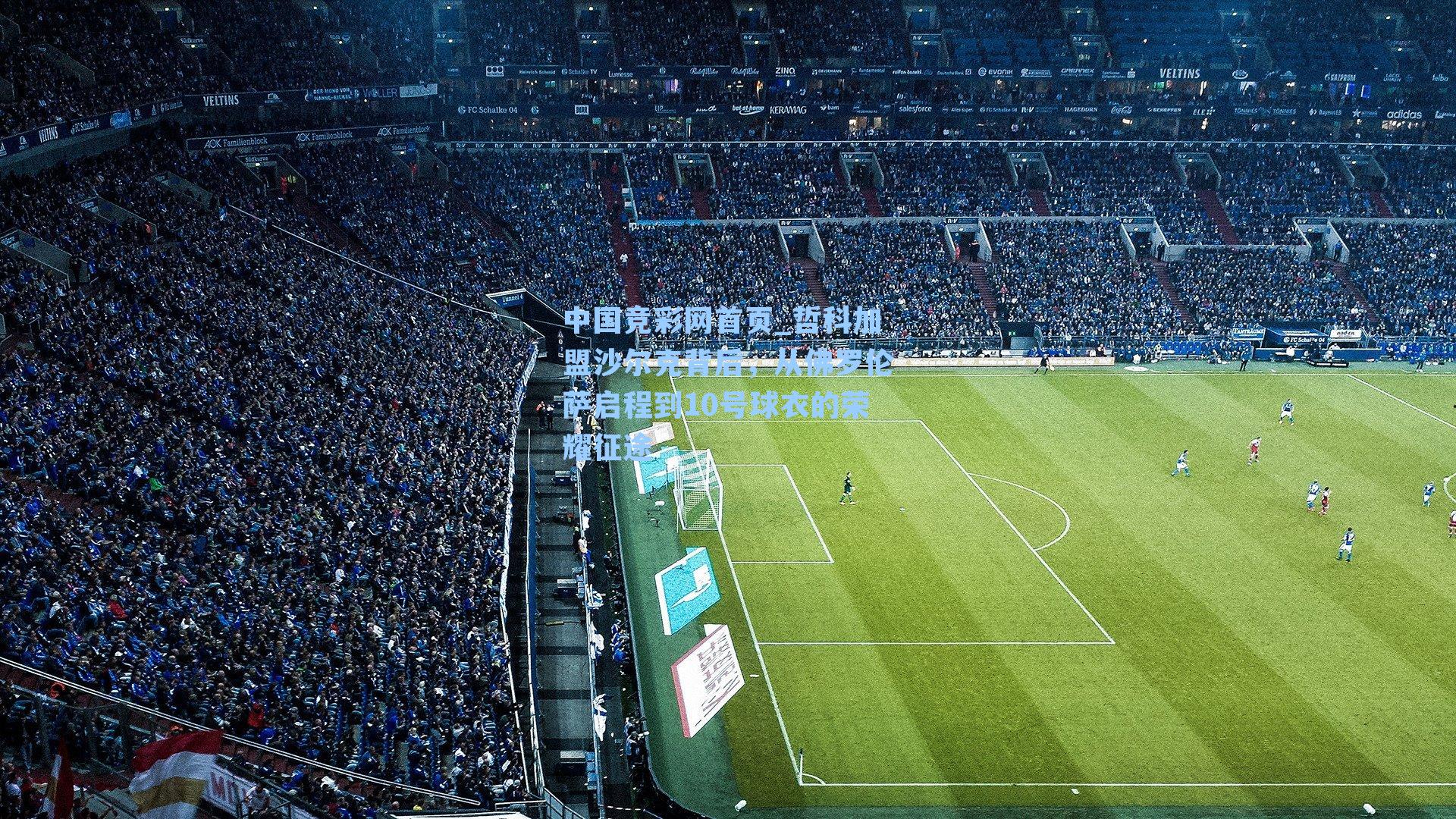 哲科加盟沙尔克背后,从佛罗伦萨启程到10号球衣的荣耀征途