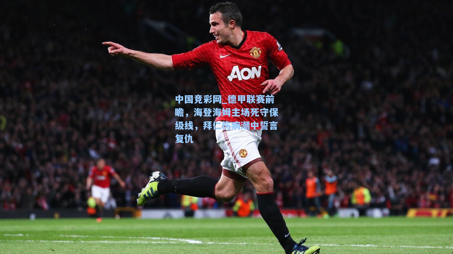 德甲联赛前瞻,海登海姆主场死守保级线,拜仁伤病潮中誓言复仇